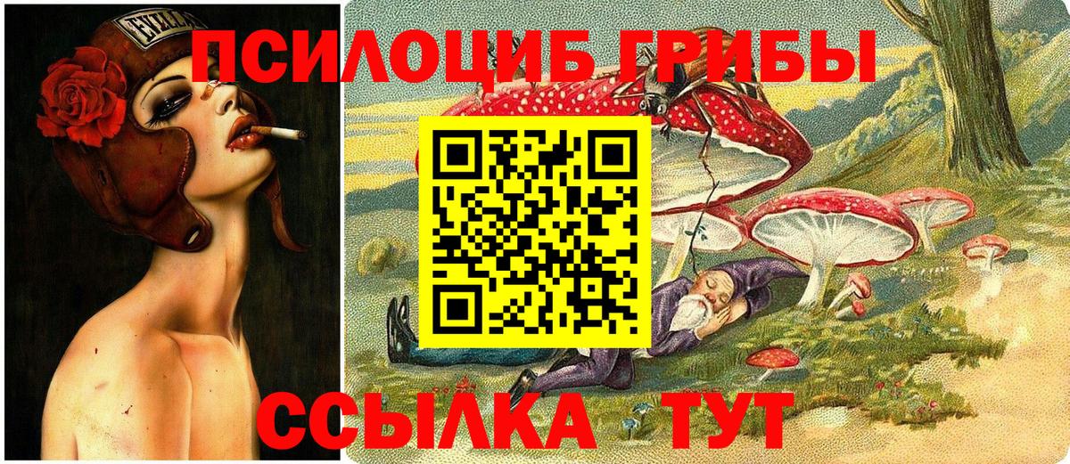 Чайковский  Галлюциногенные грибы GOLDEN TEACHER  Вход с VPN 